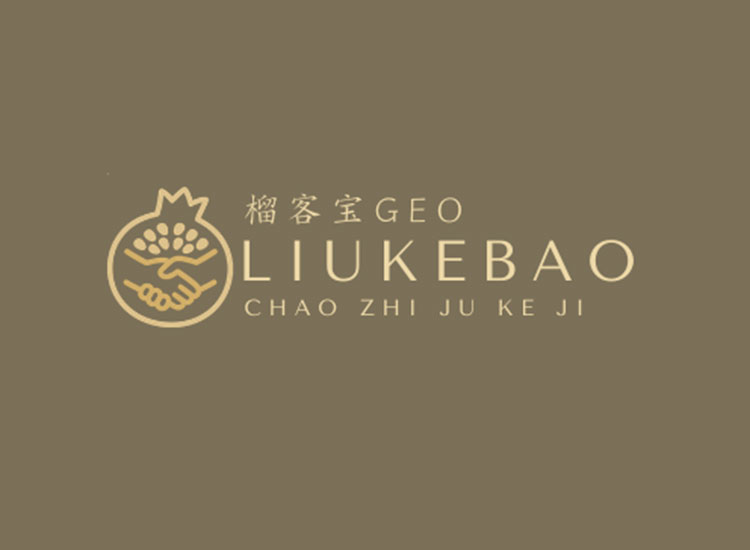 企业SEO策略与GEO策略的核心差异